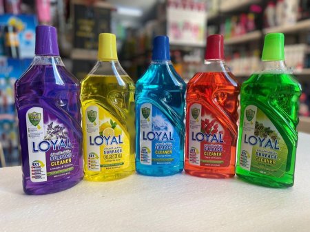 منظف الأسطح Loyal 4 في 1
